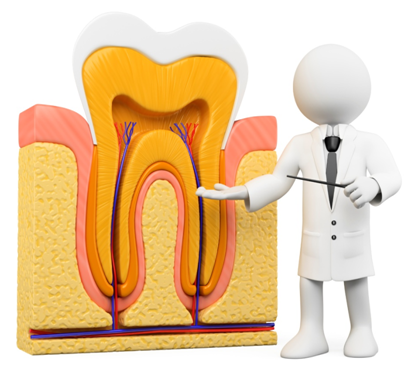 Best Endodontist in Jaipur